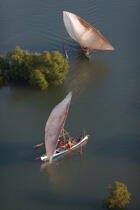 Majunga, North West coast of Madagascar. © Philip Plisson / Pêcheur d’Images / AA35782 - Photo Galleries - Rowing boat