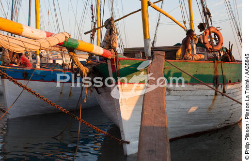 Majunga port, North West coast of Madagascar. - © Philip Plisson / Plisson La Trinité / AA35845 - Photo Galleries - Old gaffer