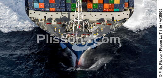 The container ship Marco Polo - © Philip Plisson / Plisson La Trinité / AA35933 - Photo Galleries - The Ouessant Shipping Lane