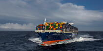 The container ship Marco Polo © Philip Plisson / Plisson La Trinité / AA35938 - Photo Galleries - Containerships, the excess