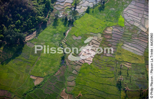 Madagascar - © Philip Plisson / Plisson La Trinité / AA35960 - Nos reportages photos - Paysage intérieur