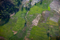 Madagascar © Philip Plisson / Plisson La Trinité / AA35960 - Nos reportages photos - Agriculture