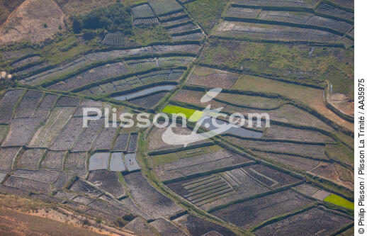 Madagascar - © Philip Plisson / Plisson La Trinité / AA35975 - Photo Galleries - Agriculture