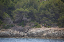 Désert des Agriates, Corse © Philip Plisson / Plisson La Trinité / AA36035 - Nos reportages photos - Randonnée pédestre