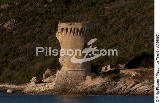  - © Philip Plisson / Plisson La Trinité / AA36067 - Photo Galleries - Town [Corsica]