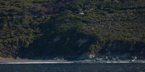 Sur le Cap Corse © Philip Plisson / Plisson La Trinité / AA36079 - Nos reportages photos - Site [Corse]