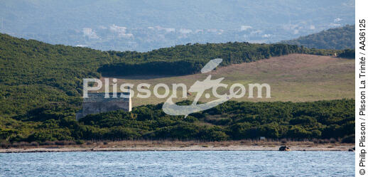 Cap Corse, Est coast - © Philip Plisson / Plisson La Trinité / AA36125 - Photo Galleries - Site of Interest [Corsica]