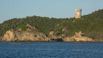 Corsica South East © Philip Plisson / Plisson La Trinité / AA36198 - Photo Galleries - Tower