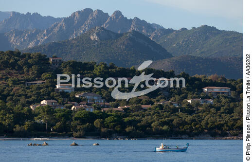 Corse Sud Est - © Philip Plisson / Plisson La Trinité / AA36202 - Nos reportages photos - Pêche