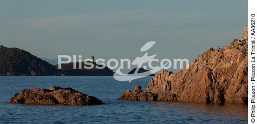Corsica South East - © Philip Plisson / Plisson La Trinité / AA36210 - Photo Galleries - Tower
