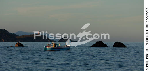 Corse Sud Est - © Philip Plisson / Plisson La Trinité / AA36213 - Nos reportages photos - Pêche