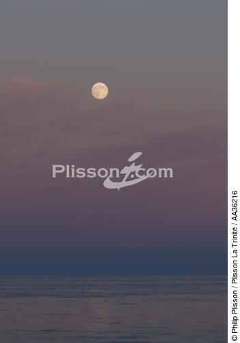 Corsica South East - © Philip Plisson / Plisson La Trinité / AA36216 - Photo Galleries - Calm sea