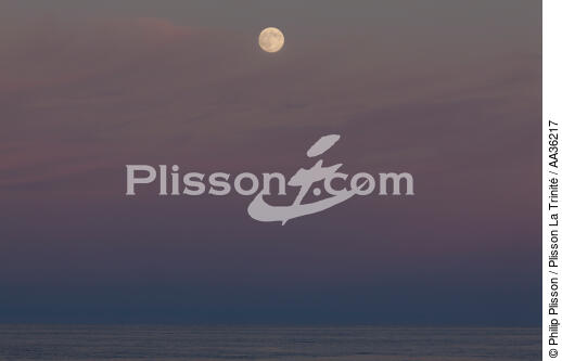 Corse Sud Est - © Philip Plisson / Pêcheur d’Images / AA36217 - Nos reportages photos - Mer calme