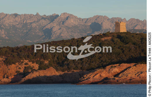 Corsica South East - © Philip Plisson / Plisson La Trinité / AA36225 - Photo Galleries - Corsica