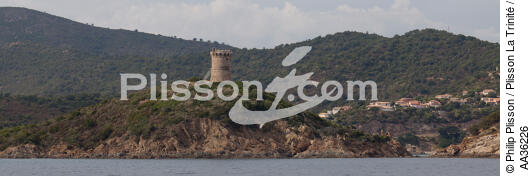 Corsica South East - © Philip Plisson / Plisson La Trinité / AA36226 - Photo Galleries - Tower