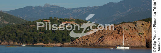 Corse Sud Est - © Philip Plisson / Plisson La Trinité / AA36229 - Nos reportages photos - Terme marin