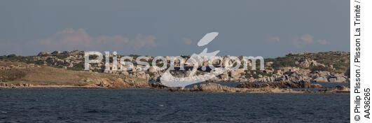 Ile de Cavallo, Corse - © Philip Plisson / Plisson La Trinité / AA36265 - Nos reportages photos - Corse