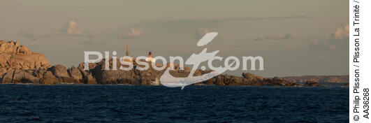 Ile Lavezzi, Corse - © Philip Plisson / Plisson La Trinité / AA36268 - Nos reportages photos - Ile [Corse]