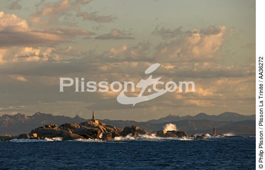 Lavezzi island,Corsica - © Philip Plisson / Plisson La Trinité / AA36272 - Photo Galleries - Island [Corsica]