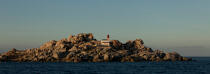 Ile Lavezzi, Corse © Philip Plisson / Plisson La Trinité / AA36280 - Nos reportages photos - Ile [Corse]