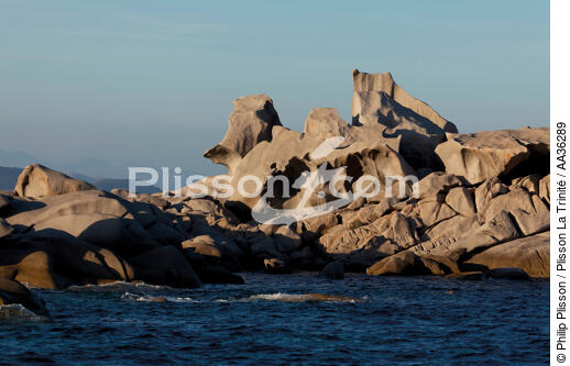 Corse - © Philip Plisson / Plisson La Trinité / AA36289 - Nos reportages photos - Des îles Lavezzi à Poticcio