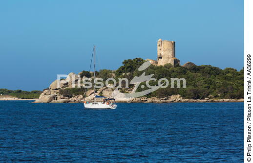 Corse - © Philip Plisson / Plisson La Trinité / AA36299 - Nos reportages photos - Des îles Lavezzi à Poticcio
