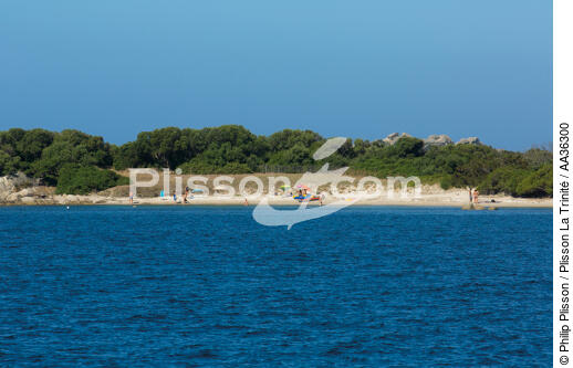 Corse - © Philip Plisson / Plisson La Trinité / AA36300 - Nos reportages photos - Des îles Lavezzi à Poticcio