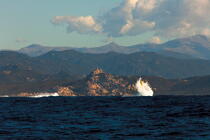 Corse © Philip Plisson / Plisson La Trinité / AA36303 - Nos reportages photos - La France vue de la mer