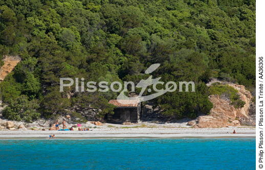 Corsica - © Philip Plisson / Plisson La Trinité / AA36306 - Photo Galleries - Beach