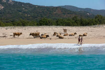 Corse © Philip Plisson / Pêcheur d’Images / AA36307 - Nos reportages photos - Des îles Lavezzi à Poticcio