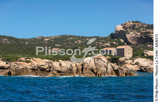 Corse - © Philip Plisson / Plisson La Trinité / AA36310 - Nos reportages photos - Des îles Lavezzi à Poticcio