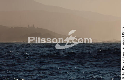 Corsica - © Philip Plisson / Plisson La Trinité / AA36317 - Photo Galleries - From Lavezzi islands to Poticcio