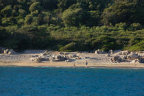 Corse © Philip Plisson / Pêcheur d’Images / AA36323 - Nos reportages photos - Des îles Lavezzi à Poticcio