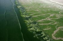 Green tide in the Bay of Douarnenez © Philip Plisson / Plisson La Trinité / AA36343 - Photo Galleries - Site of Interest [29]