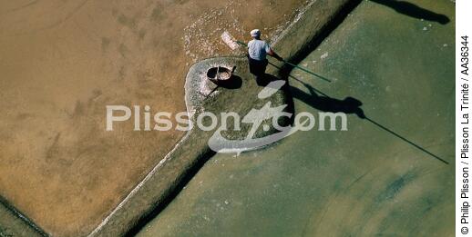 Saltmarsh worker to Guérande - © Philip Plisson / Plisson La Trinité / AA36344 - Photo Galleries - Pays de Loire
