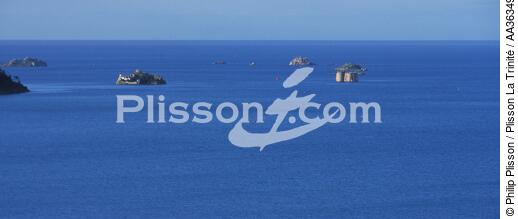 Pleine mer dans la baie de Morlaix - © Philip Plisson / Plisson La Trinité / AA36349 - Nos reportages photos - Finistère