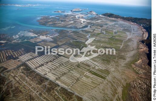 Low tide in the bay of Paimpol - © Philip Plisson / Plisson La Trinité / AA36365 - Photo Galleries - Oyster farming