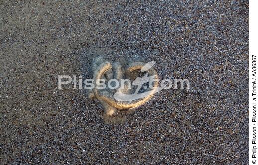Sur le sable - © Philip Plisson / Plisson La Trinité / AA36367 - Nos reportages photos - Sable