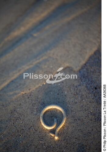 On the sand - © Philip Plisson / Plisson La Trinité / AA36368 - Photo Galleries - Geomorphology