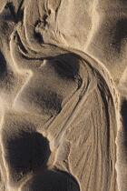On the sand © Philip Plisson / Plisson La Trinité / AA36371 - Photo Galleries - Geomorphology