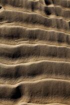Sur le sable © Philip Plisson / Plisson La Trinité / AA36373 - Nos reportages photos - Vertical