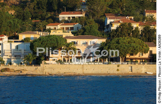 Ajjacio, Corsica - © Philip Plisson / Plisson La Trinité / AA36389 - Photo Galleries - Town [Corsica]