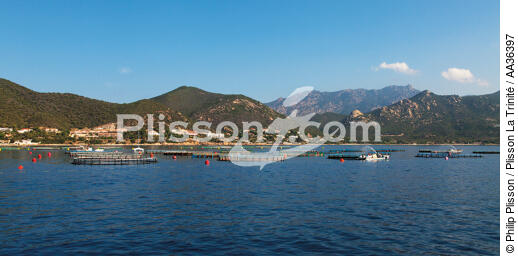 Corsica - © Philip Plisson / Plisson La Trinité / AA36397 - Photo Galleries - Aquaculture