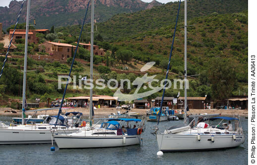 Le golfe de Girolata, Corse - © Philip Plisson / Plisson La Trinité / AA36413 - Nos reportages photos - La France vue de la mer