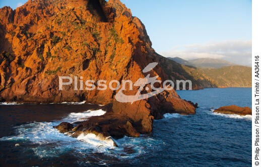 La réserve naturelle de la presqu'île de Scandola, Corse - © Philip Plisson / Plisson La Trinité / AA36416 - Nos reportages photos - Corse