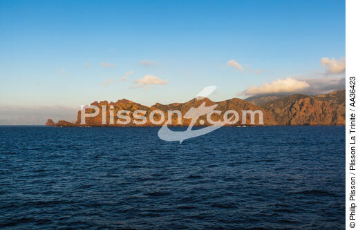 La réserve naturelle de la presqu'île de Scandola, Corse - © Philip Plisson / Plisson La Trinité / AA36423 - Nos reportages photos - Collection Créative