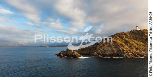 La pointe de la Revellata, Corse - © Philip Plisson / Plisson La Trinité / AA36426 - Nos reportages photos - Revellata [la]