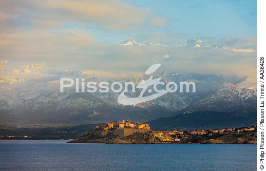 Calvi, Corse - © Philip Plisson / Plisson La Trinité / AA36428 - Nos reportages photos - Collection Créative