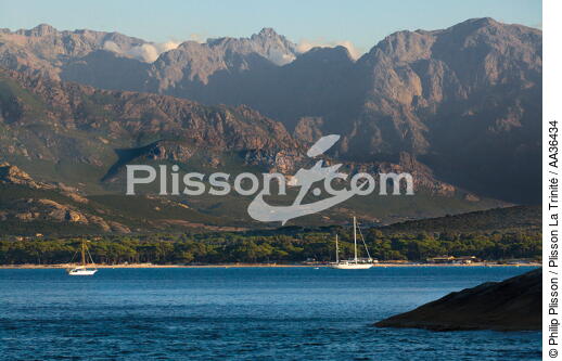 Calvi Bay, Corsica - © Philip Plisson / Plisson La Trinité / AA36434 - Photo Galleries - Corsica