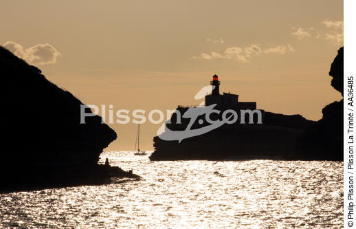 Bonifacio, Corse - © Philip Plisson / Plisson La Trinité / AA36485 - Nos reportages photos - Des îles Lavezzi à Poticcio